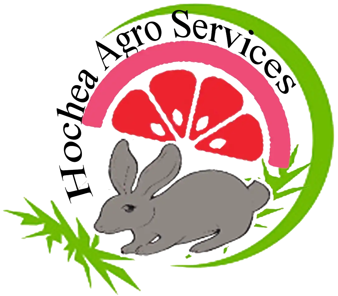 Hochea Agro Services