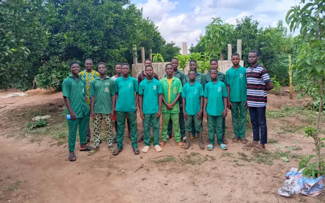 Pourquoi l’agriculture durable est essentielle pour l’avenir du Bénin